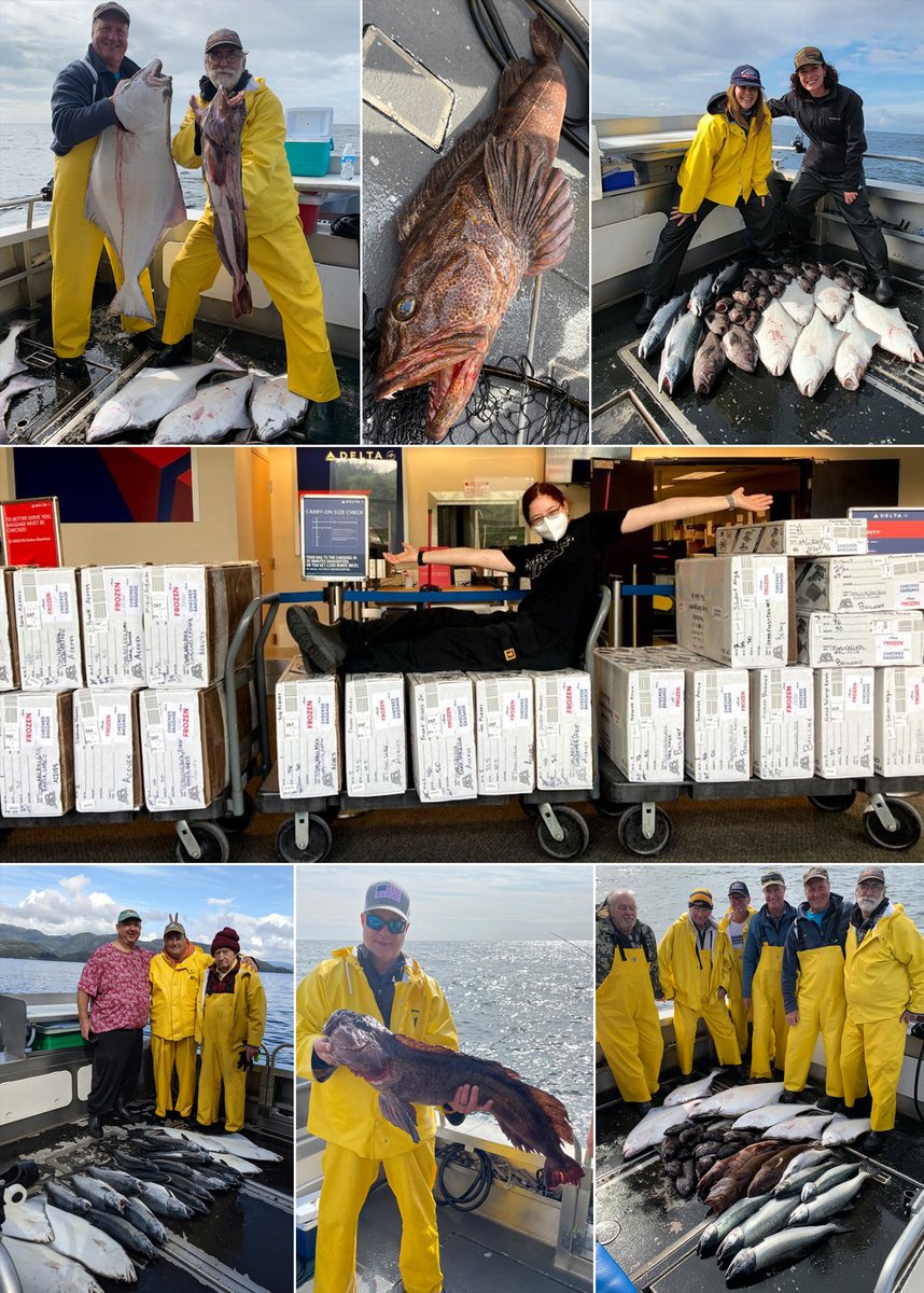 9-6-21: Late season fish still going in the boxes! #sitka #salmon #fish #fishing #fishinginsitka #fishinginalaska #sitkafishing #alaskafishing #saltwaterfishing #wildstrawberrylodge #alaskapremiercharters #fishinginsitka #fishinginalaska #sitkafishing #alaskafishing #visitsitka
