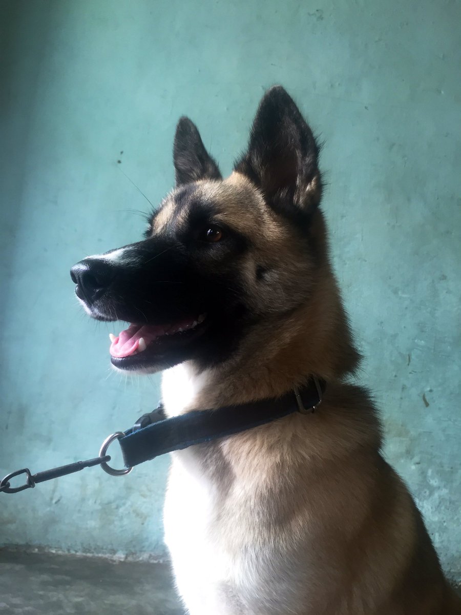 rey✌🏻 tweet media