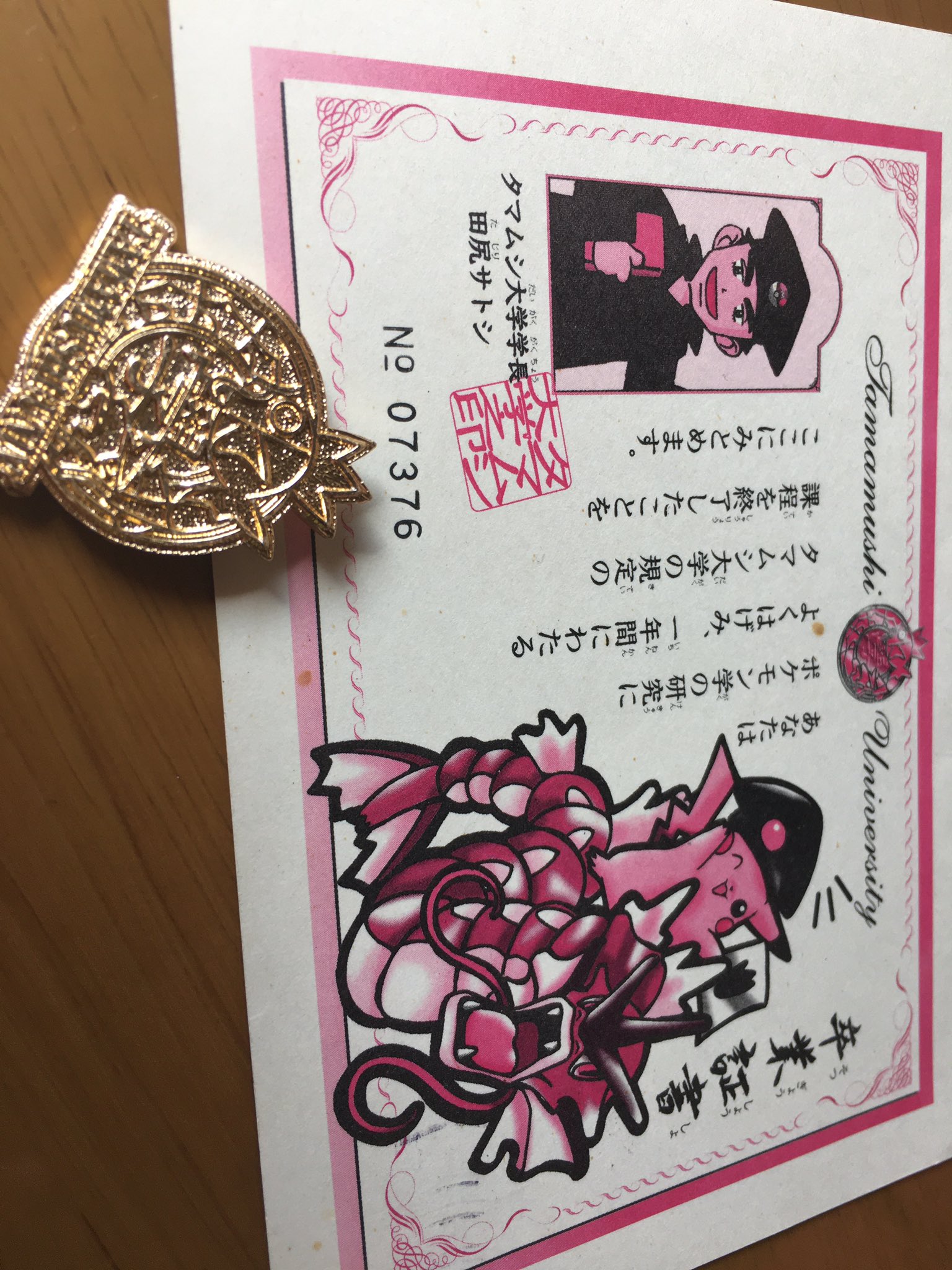 タマムシ大学　学生手帳　生徒手帳　学生証　校章　ピンバッジ　ポケモン ﾎﾟｹﾓﾝｶｰﾄﾞ ﾀﾏﾑｼ大学学生手帳+バッジ