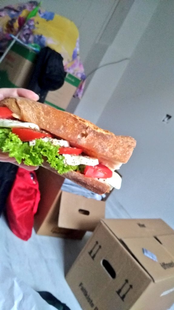 jasmin_jddj's tweet image. Guten Morgen erstes Essen nach der #conline21 und Umzugskartons schleppen nach @kishiseiji s Power Workout.
岸監督の地獄の筋トレ直後に引っ越し作業という筋肉の虐待を経てやっと食事に至る。