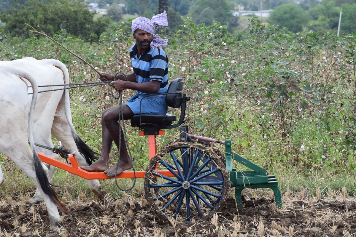 Malyaj9's tweet photo. @aclb_kb @Collector_KB @TelanganaCMO @SatyavathiTRS @IKReddyAllola "Technologies Change but Traditions Remain" 
New technology for optimum utilization of animal energy.
#WASSAN #RRA_Network
@Aicrp_uae @Dept_of_AHD  @icarindia https://t.co/HM1GMQkH3l