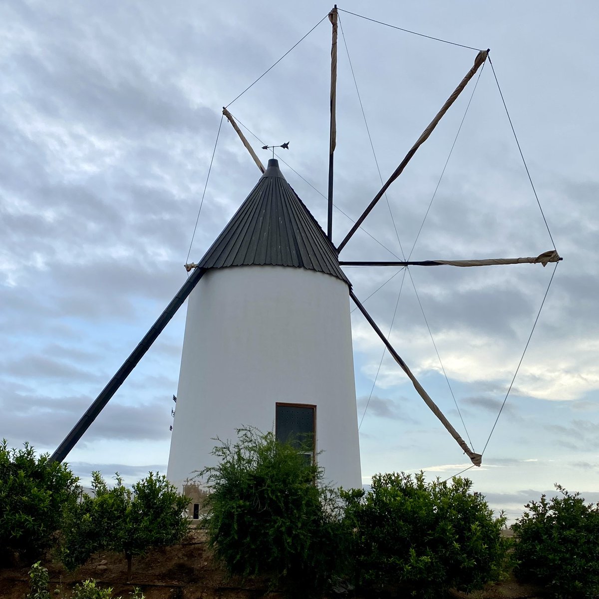 micheldelamor's tweet image. Paisajes de #tradición unido a la #innovación a través de la #sensorización y #monitorización - Molino de los Pereas
Molino de viento de 1873 construido para la extracción de #agua del #acuífero para #regadío cuyos alcaduces (cántaros o toneles) extraen el agua
#PasiónPorElAgua