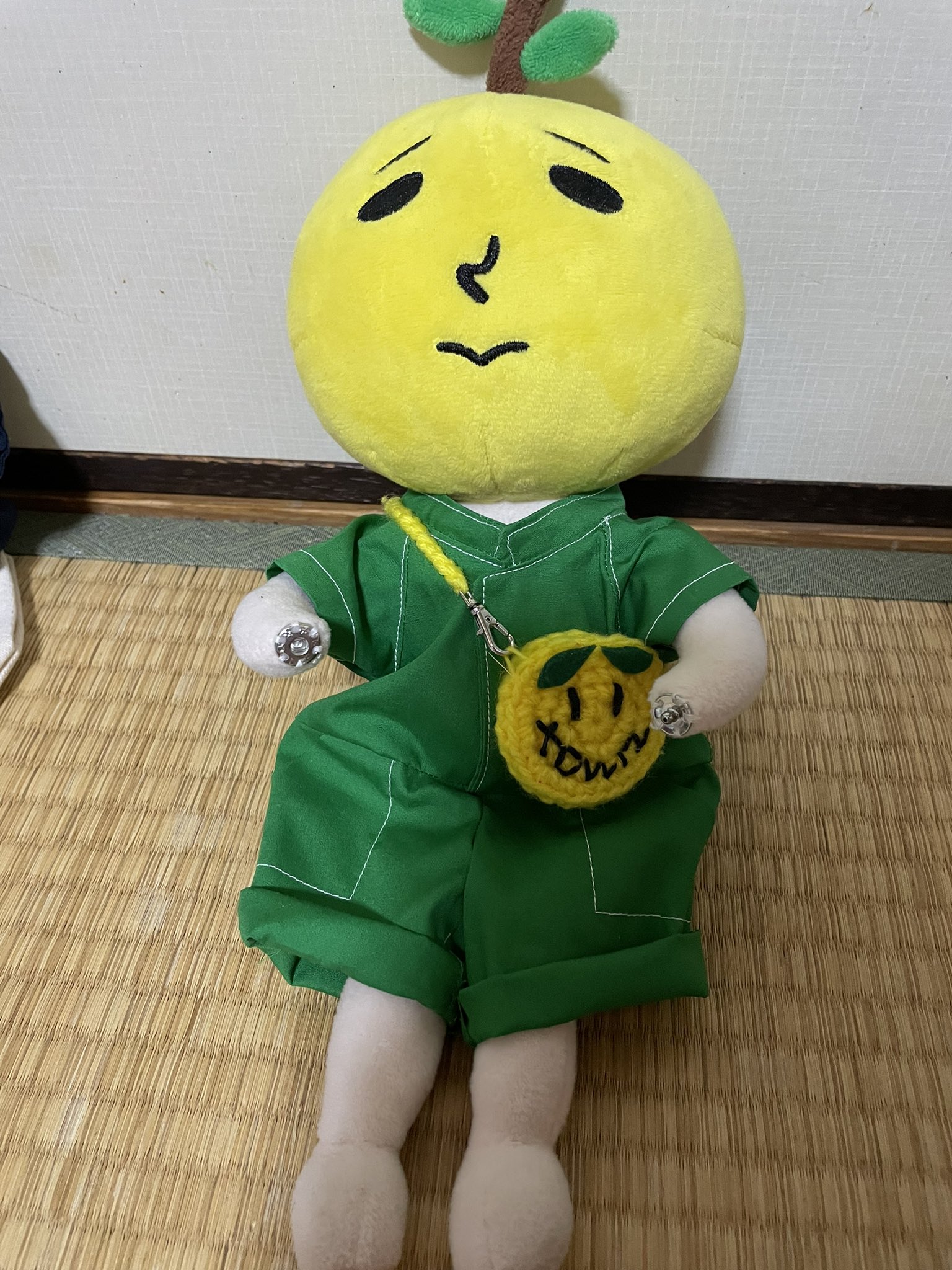 ゆず太郎コスチューム オーダー専用ページ ゆず太郎コスチューム オーダー専用ページ