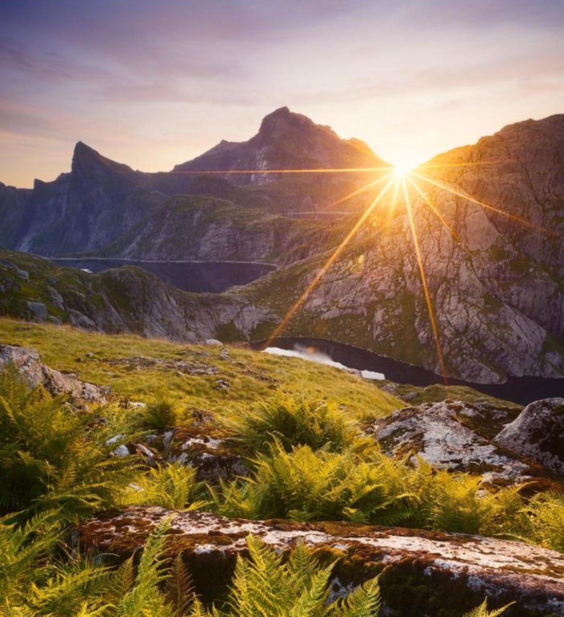 شعورٌ بالسرورِ  إذا انطلقنا
مع الإسفارِ من قَبلِ الشروقِ

فتغمرنا السعادةُ قد بُعِثنا
بتوحيدٍ  تجدَّدَ  بالعروقِ

فضوءُ الشمسِ إحساسٌ جميلٌ
وعطرُ الصبحِ مع لونِ البزوقِ

صباحُ الخيرِ والإصباحُ فألٌ
يلوحُ كمثلِ لائحةِ البروقِ
<a href="/Adnan2020Alomar/">عدنان الـ عمر</a>