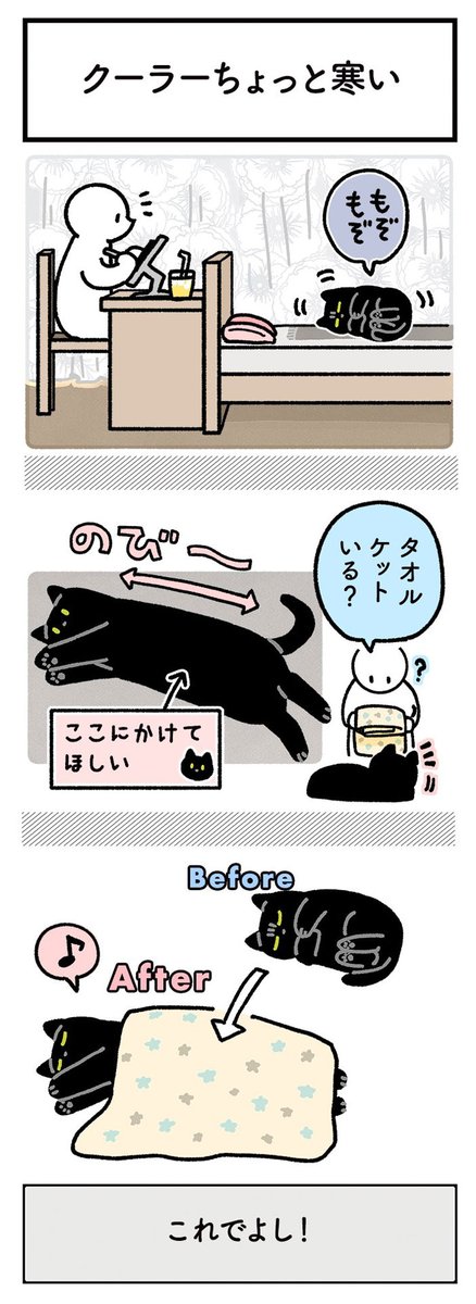 猫にタオルケットを与えた結果 見せた行動に「前世は人間かな?」 https://t.co/u6PgJa3t8u @grapeejpより 