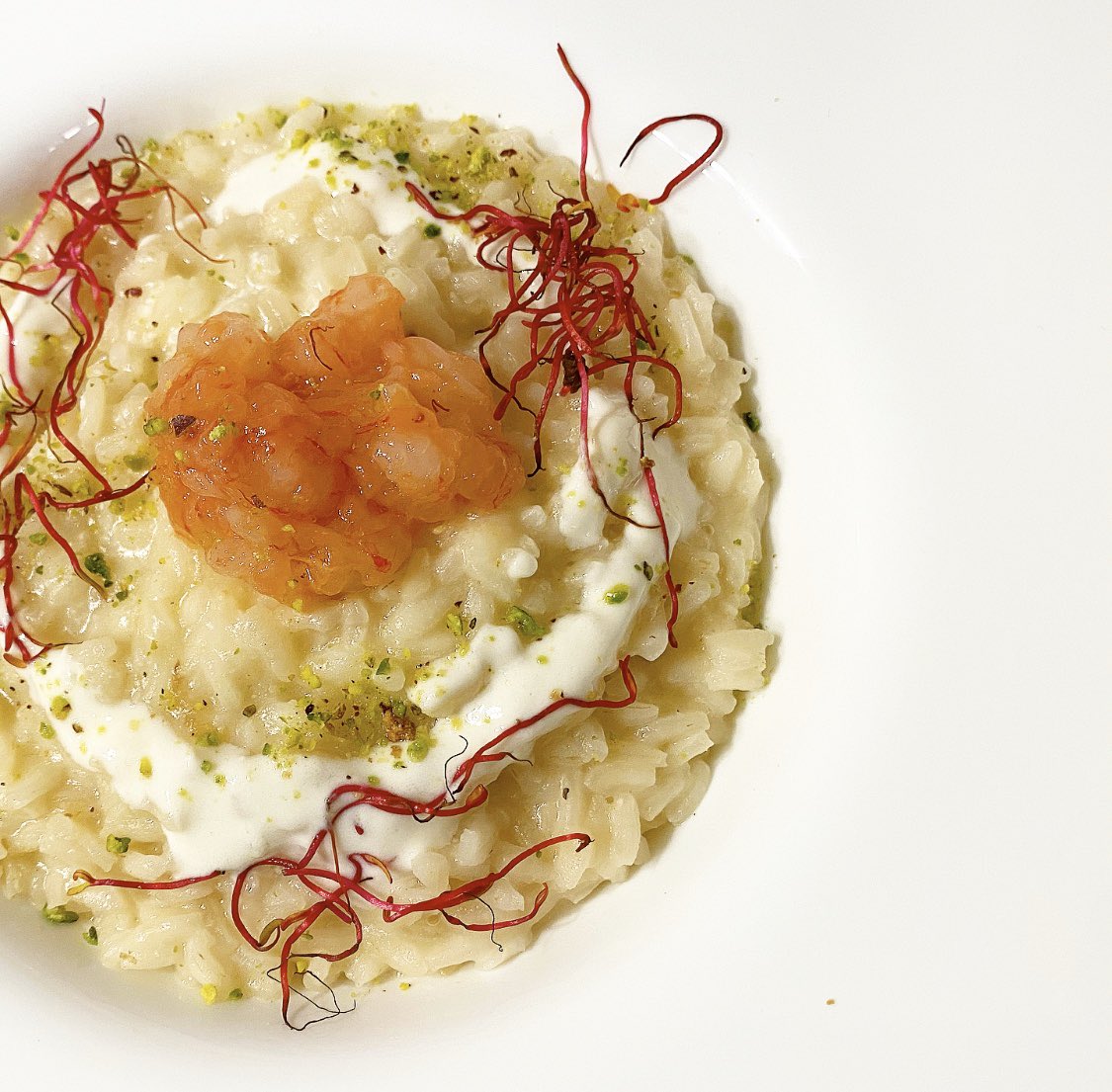 _FoodAddicted's tweet image. Risotto* al caprino con crudo di gamberi rossi, germogli di bieta rosa e granella di pistacchio.

*Riso Carnaroli bio/organic @ginogirolomoni 
#foodaddicted #rice #tuesday #food #foodie #instafood #cibo #biologico #cucinaitaliana  #italianfood #pastafresca #cheese #healthyfood