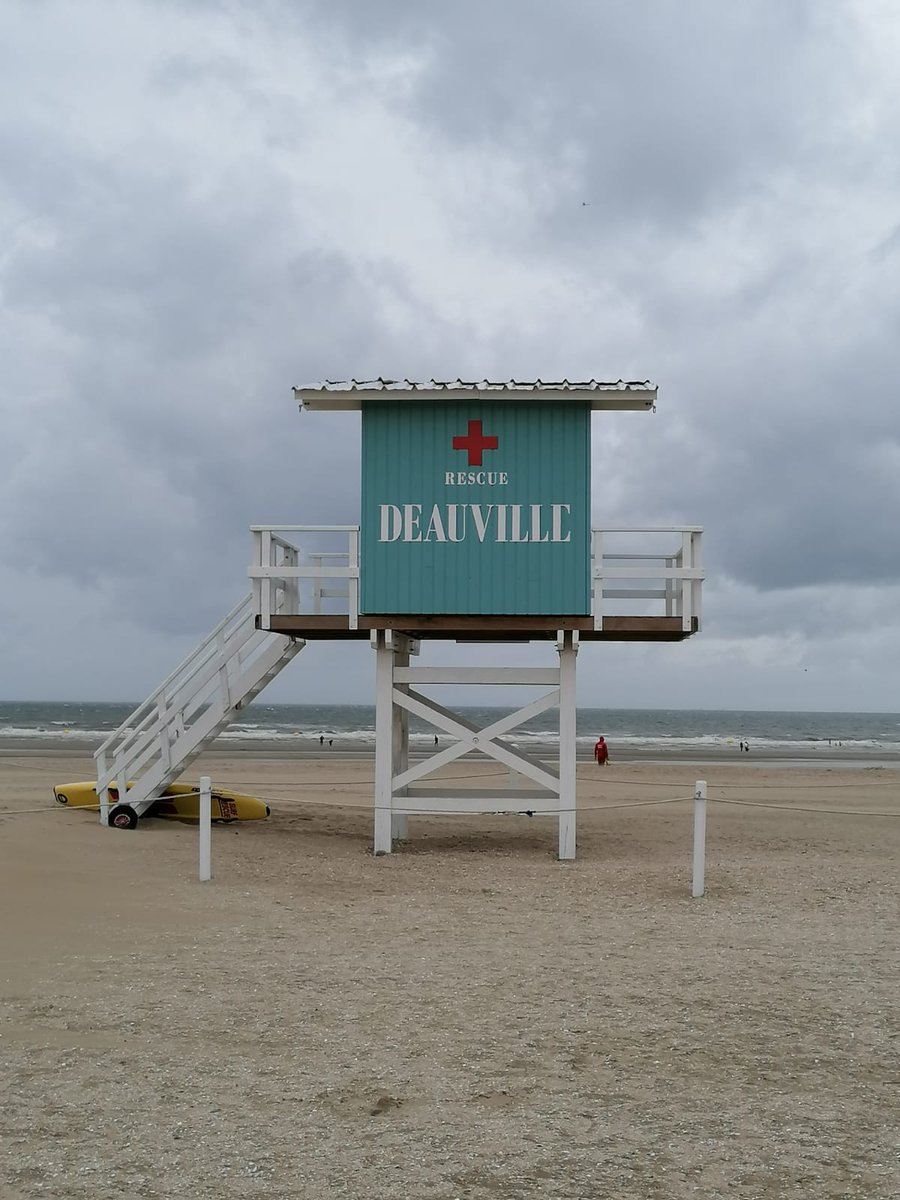 ImpronteNelMondo tweet media