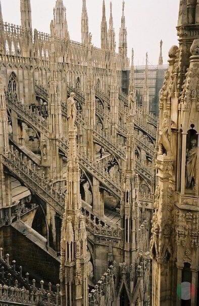 Taric (✸,✸) 'Zama' "base.eth" tweet media