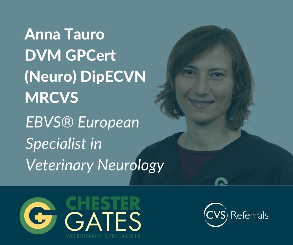CVSGroupPlc's tweet photo. Congratulations to Anna Tauro from @CGVetSpecialist, who recently passed her certifying examination and is now an EBVS Specialist in Veterinary Neurology.
Read more here: https://t.co/sPClN45uGC
#thisisCVS #vetmed #veterinary #ClinicalCare #referral https://t.co/H0aDOEkcLO