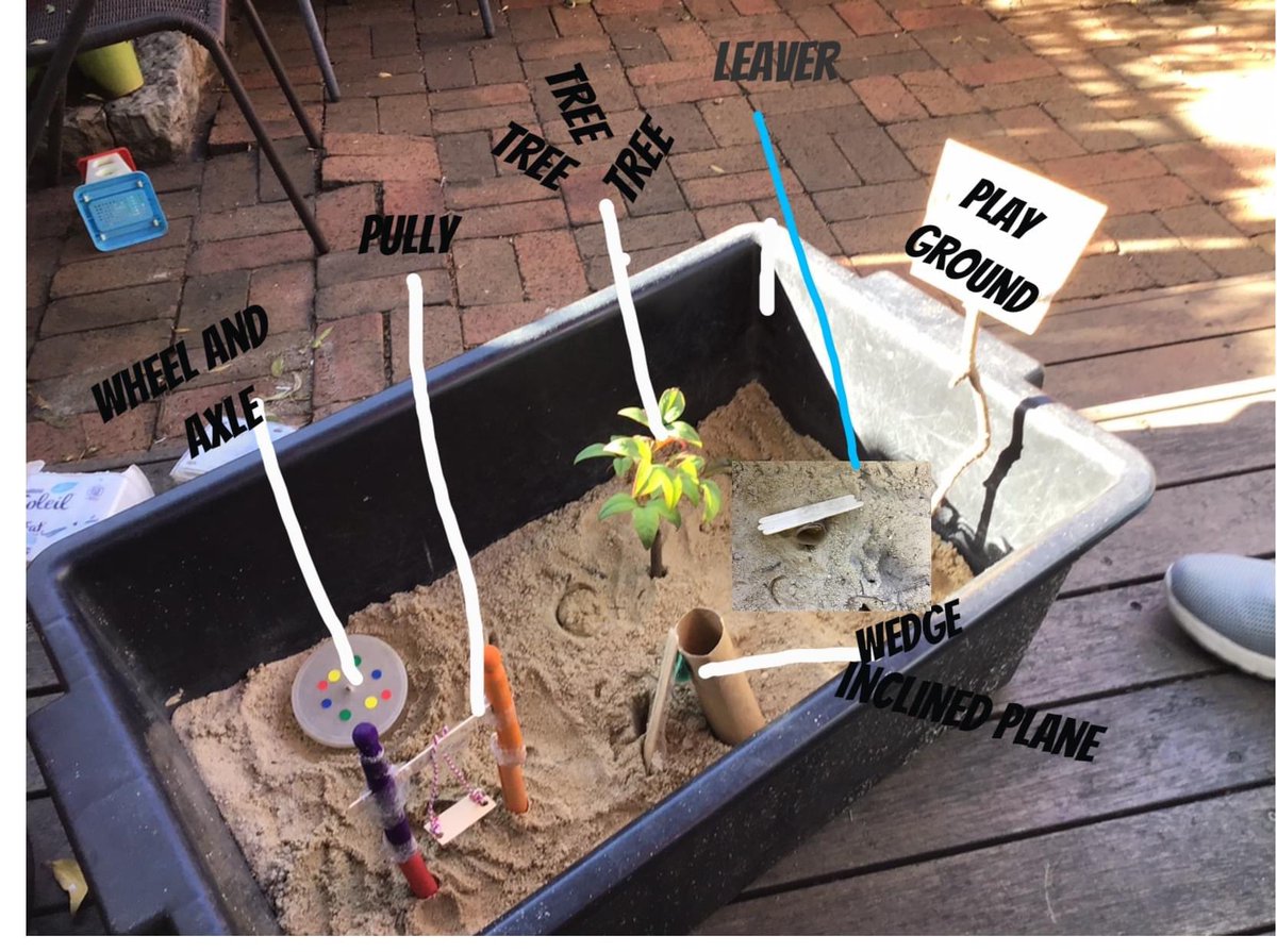 Glebe Public School tweet media