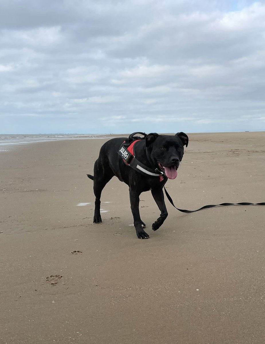 Corked99's tweet photo. It’s #tongueouttuesday https://t.co/QqW1iAG7k6