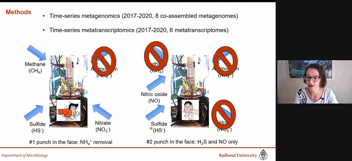 Mike Jetten🟥 (@msmjetten) on Twitter photo <a href="/pdalcinmartins/">Dr. Paula Dalcin Martins</a> <a href="/maiecheveste/">Maider Echeveste</a> presententing a "Punch & Judy" show at #microbiology lab seminar <a href="/Radboud_Uni/">Radboud University</a> by putting multiple rounds of stress on an #anaerobic bioreactor mimicking coastal systems #methane #anammox #sulfur #denitrification <a href="/SIAMmicrobes/">SIAM-microbiology</a> biorxiv.org/content/10.110… <a href="/pdalcinmartins/">Dr. Paula Dalcin Martins</a> <a href="/maiecheveste/">Maider Echeveste</a> presententing a "Punch & Judy" show at #microbiology lab seminar <a href="/Radboud_Uni/">Radboud University</a> by putting multiple rounds of stress on an #anaerobic bioreactor mimicking coastal systems #methane #anammox #sulfur #denitrification <a href="/SIAMmicrobes/">SIAM-microbiology</a> biorxiv.org/content/10.110…
