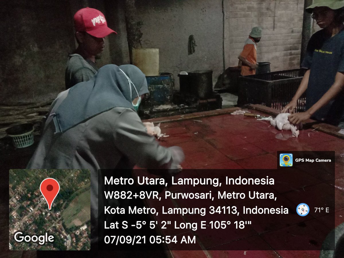 Sampling AMR di Kota Metro