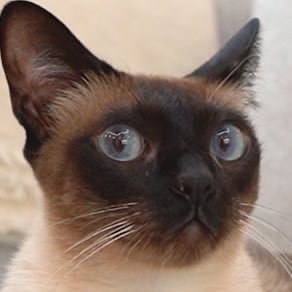 นี่ว่าบัวก็ไม่ได้เปลี่ยนไปมากนะ