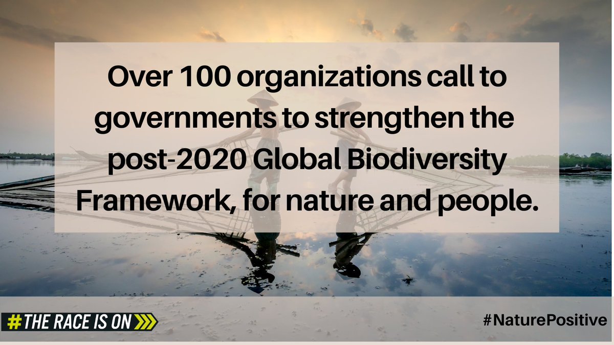 📢 We've joined over 100 organizations to voice concern at lack of ambition in #post2020 negotiations and demand governments act to secure a #NaturePostive world by 2030.

#TheRaceIsOn #ForNature

Read the call to action 👉 f.hubspotusercontent20.net/hubfs/4783129/…