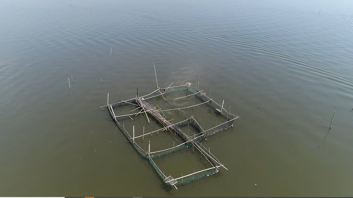 denrcalabarzon's tweet photo. 𝐑𝐄𝐀𝐃:Small-scale Fisherfolk to Benefit Most from Dismantling of Illegal Fish Cages, Pens in Cavite - DENR

https://t.co/mWnsyOS010

#DENRCALABARZON #TayoAngKalikasan #ManilaBayRehabilitationProgram #BattleForManilaBay https://t.co/FEOv44YOkT