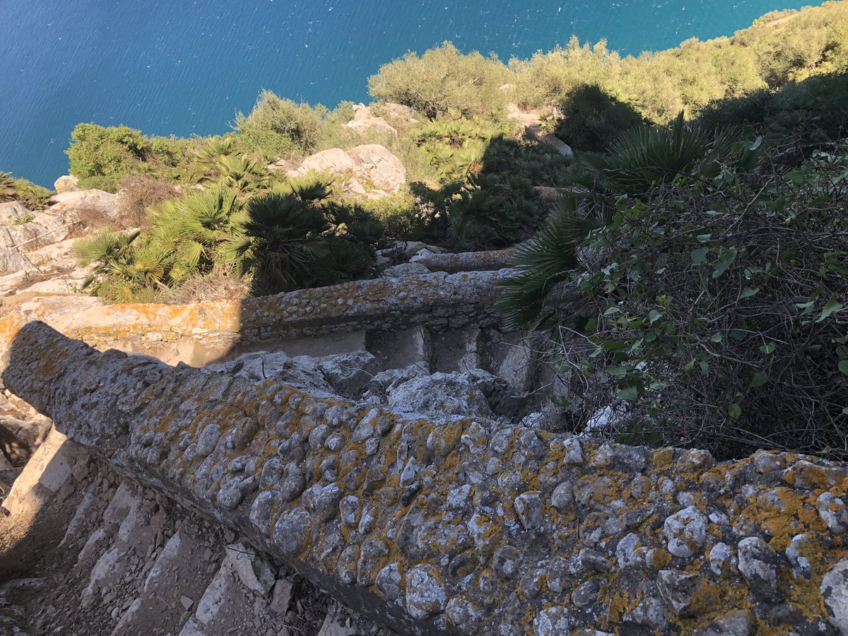 #Gibraltar ⁦@GibReserve⁩ #MedSteps #straitofgibraltar #bayofgibraltar stunning photos by M Garcia