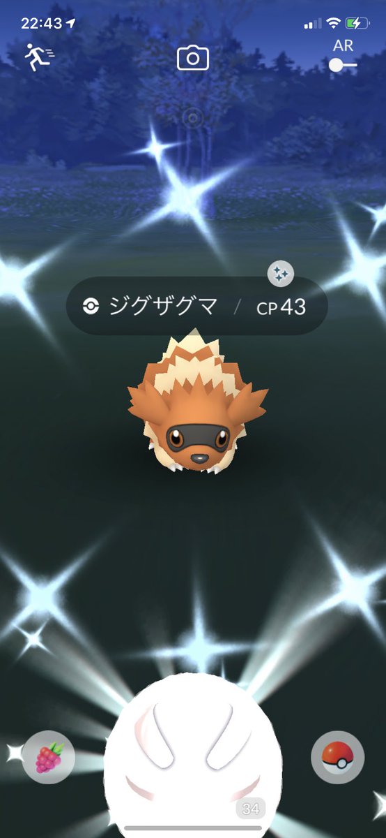 ポケモンgo ジグザグマ ガラル の色違い 入手方法と実装状況 攻略大百科