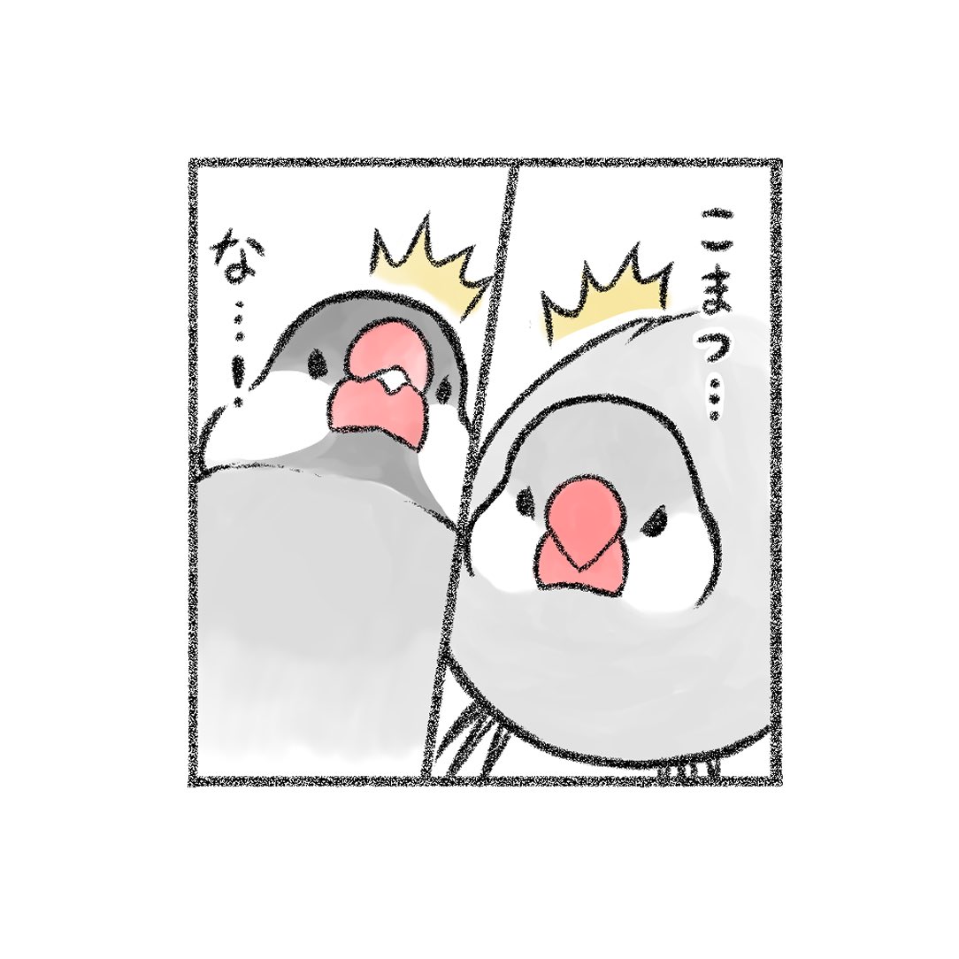 インスタに文鳥マンガをアップしました⤴️🐥

続きはこちらから🐥💁‍♀️
https://t.co/DLpU39yOvi 