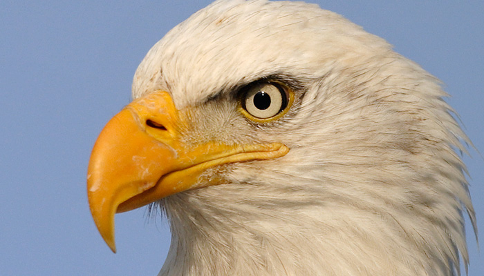 philmscribe's tweet photo. A gentle reminder that I am here for any writer out there who feels they need a shoulder, an ear, or an eagle eye on their work.
Feel free to tweet or DM me, or message me via: https://t.co/ZuiKTYMdmd
#screenwriting #scriptchat #scripthelp #WritingCommunity https://t.co/ZstY9cQwYY