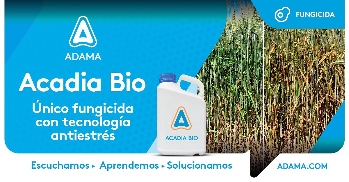 SuenaaCampo's tweet image. #AcadiaBio activa las defensas naturales de la planta con su exclusiva tecnología Active Bio.
Conocé más y accedé al porfolio de soluciones para #trigo y #cebada🌾 de @AdamaArgentina 
👉🏼 bit.ly/3jrhSnt