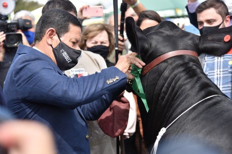 serranossa's tweet image. Em visita ao parque de exposições, vice-presidente Mourão destaca “orgulho” pela Expointer serranossa.com.br/noticia/politi… #expointer #Expointer2021