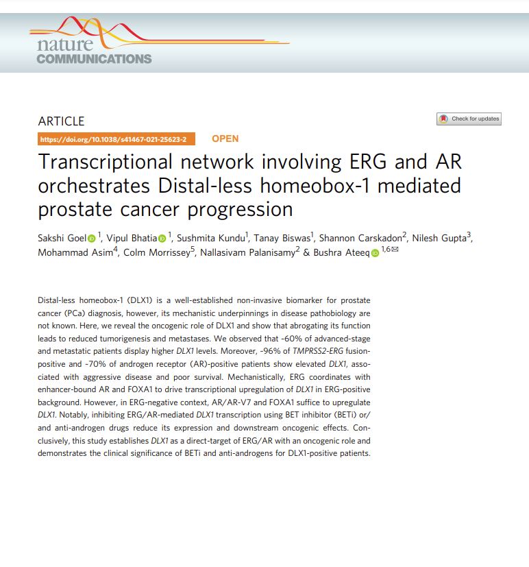 Excited to share our recent work in <a href="/NatureComms/">Nature Communications</a>  exploring DLX1-mediated prostate cancer. Heartiest Congratulations to super talented and hardworking first author <a href="/Sakshi_IITK/">Sakshi Goel</a>, coauthors <a href="/vipulbhatia24/">Vipul Bhatia</a> <a href="/kundu_sushmita/">Sushmita Kundu</a>, Tanay Biswas and collaborators. 
nature.com/articles/s4146…