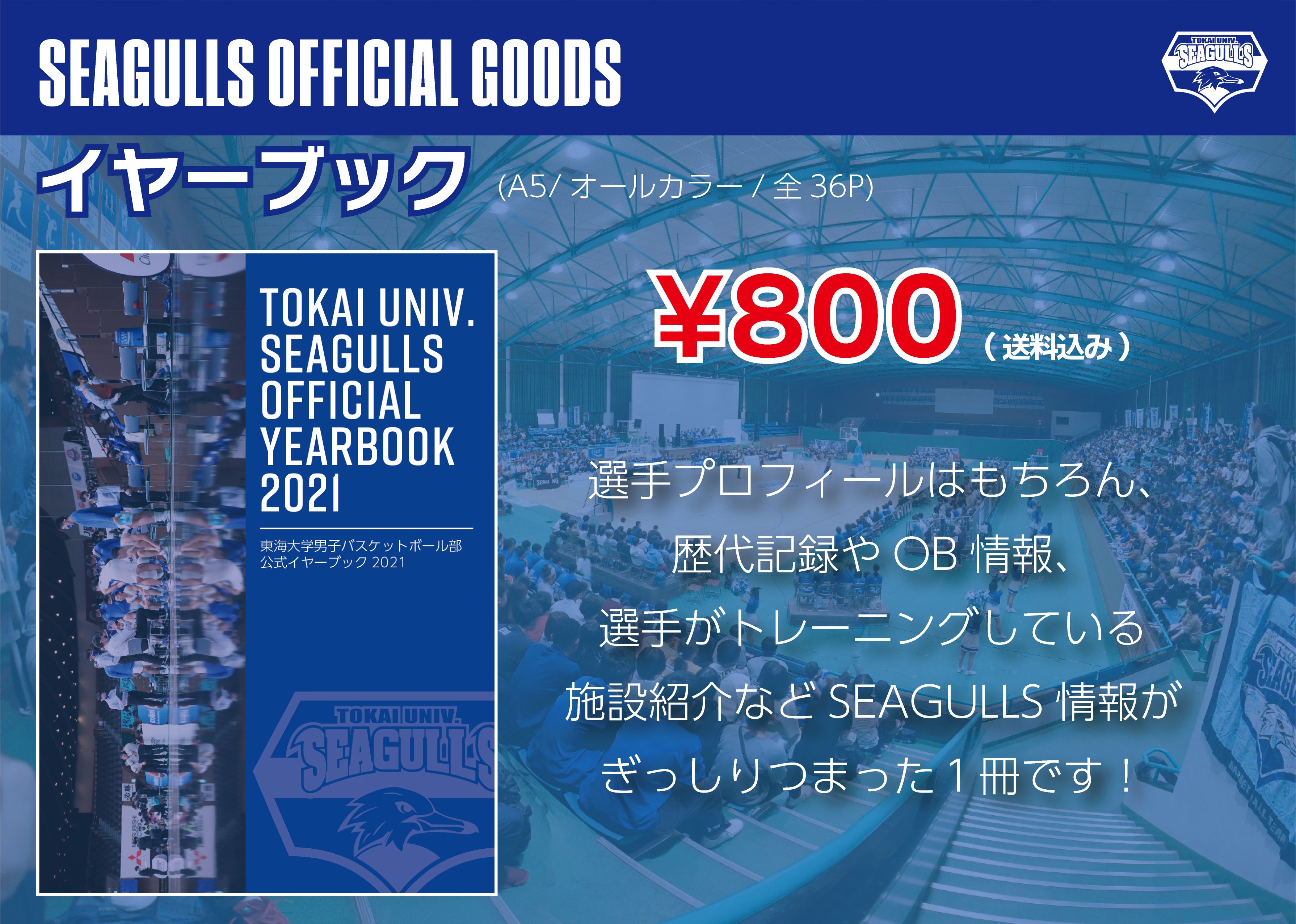 24時間以内/匿名配送】東海大学 バスケ部 SEAGULLS セットアップ S 24