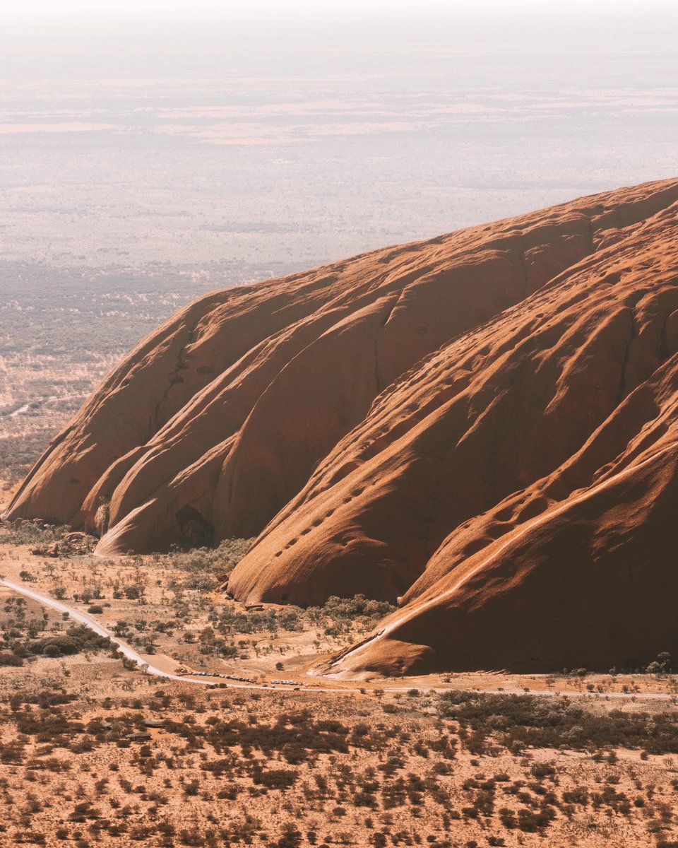 Lola Hubner tweet media