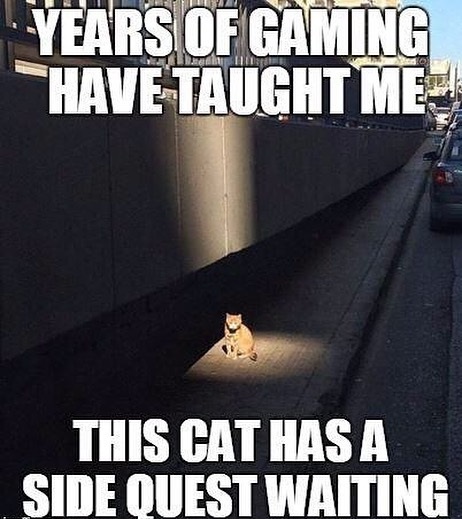 Gamersbook.com tweet media