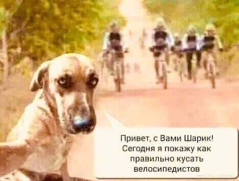 Привет.