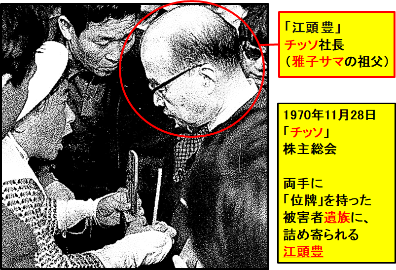 ありせ＠有瀬 on X: "@Tukuyomi_107ga >> 歴史家の色川大吉氏（東京経済大学名誉教授） ご冥福をお祈りいたします。  雅子皇后は水俣に関わりのある身、今上陛下と共に どうか水俣への慰霊においでください。 「近代化を問う」 水俣病研究の集大成出版 ＊ ＊ #皇室の闇  ...