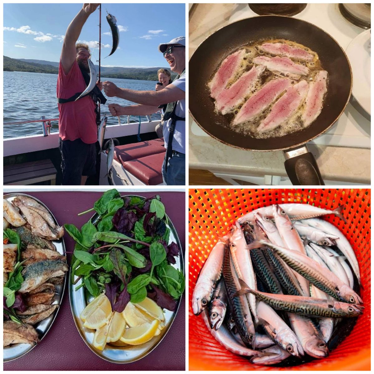 Catch it, Cook it, Eat it, YUM! 🎣🍽😋
There is nothing nicer than catching your own Mackerel and cooking it within hrs
Mackerel fishing trip tomorrow from Glengarriff at 13:30pm
Bookings to 0830896828 or email bantrybaycharters@gmail.com
bantrybaycharters.ie/mackerel-fishi…
#Ireland #foodie