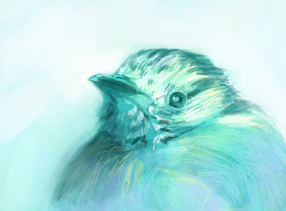 あら (@aratake_suika) on Twitter photo 