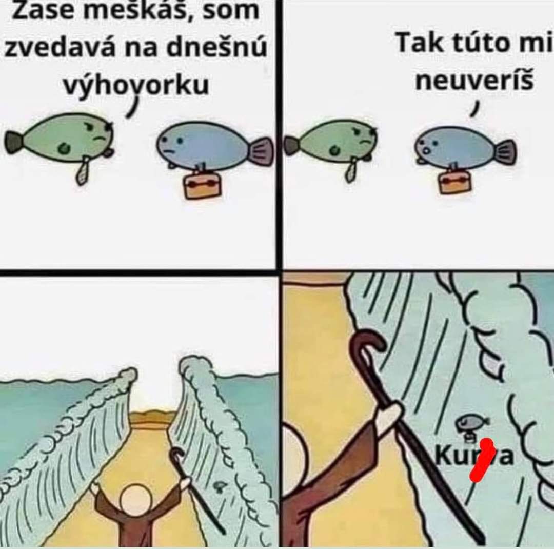 Razwy_cz (@dominiksarkozy) on Twitter photo 