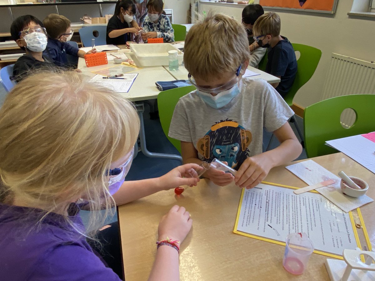 G5 learners investigating strawberry DNA as they learn about how traits are passed from@parent to offspring ⁦<a href="/FIS_School/">Frankfurt Int School</a>⁩ ⁦<a href="/FIS_ES_Science/">Catherine M. Walton</a>⁩ 🧬