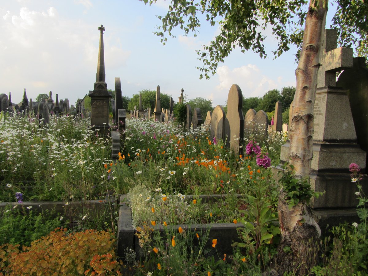Friends of Lister Lane Cemetery (KAVS) (@listerlanecem) on Twitter photo The Friends would like to thank <a href="/HalifaxCalder/">HalifaxCalderRotary</a> for their kind donation of £50.00. This was in response to a talk (via Zoom) given by our Chairman David Glover to the Halifax Calder Rotary Club about the Cemetery. 🙏 The Friends would like to thank <a href="/HalifaxCalder/">HalifaxCalderRotary</a> for their kind donation of £50.00. This was in response to a talk (via Zoom) given by our Chairman David Glover to the Halifax Calder Rotary Club about the Cemetery. 🙏