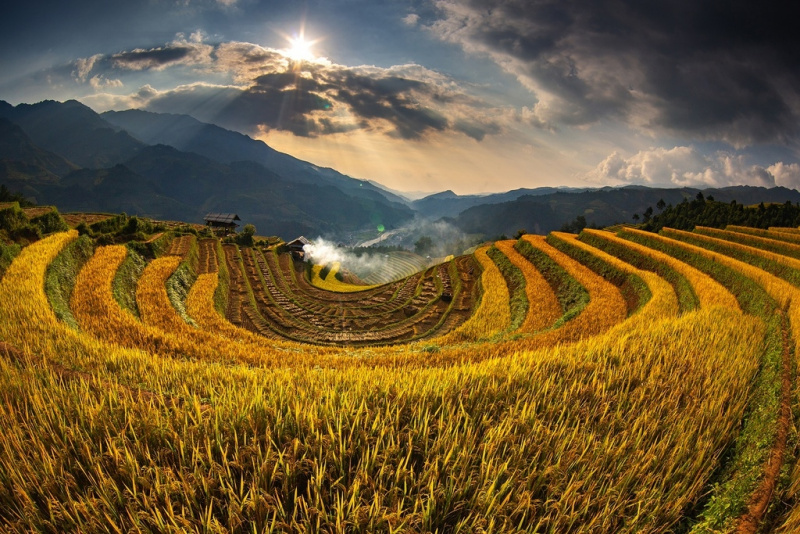 vietmountains's tweet photo. Top 7 best place in northern Vietnam for admiring ripening rice fields
#riceseason #nature #naturelove #naturephotography #mountain #mountains #mountainlove #vietmountains #hiking #trekking 
https://t.co/2DK4jTc5F9 https://t.co/O032d05oQ9