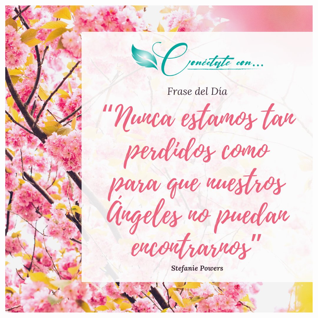 conectate_con's tweet image. 😇 Frase para hoy #martes 

&quot;Nunca estamos tan perdidos como para que nuestros #angeles no puedan encontrarnos&quot; Stefanie Powers

Si te gustó comparte y dale ❤️

#conectate_con #tarot #oraculos #arcangeles #motivacional #reiki #amor #motivacion #leydeatraccion #mensajedelosangeles
