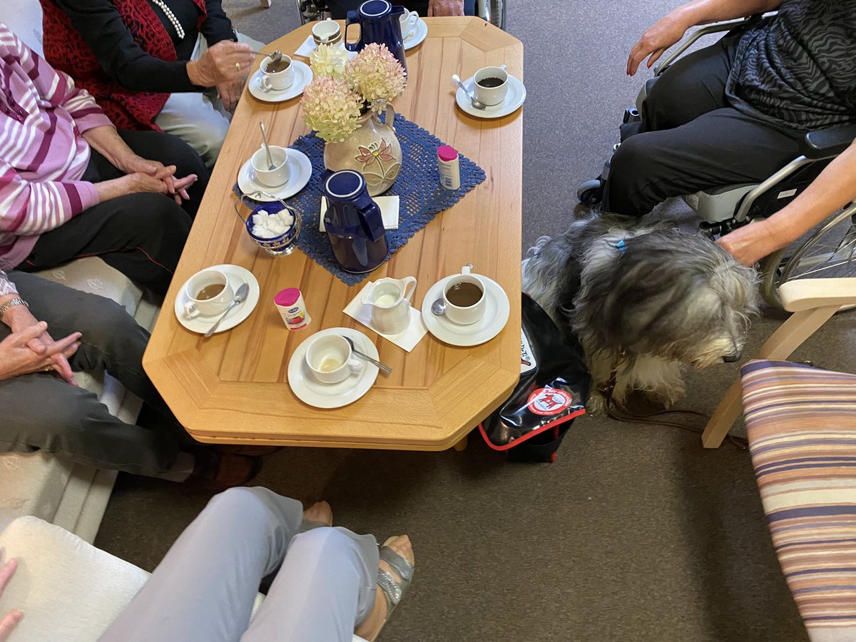 b_hommel's tweet photo. Wenn Senioren sich täglich zur gemeinsamen Kaffeerunde treffen und ihre Entscheidung ins Altenheim zu ziehen, als die beste Entscheidung sehen-dann läuft es mit der Betreuung, würd ich sagen #senioren #altersheim #pflege #awo #therapiebegleithund #kideti https://t.co/BMCdnBA7FA