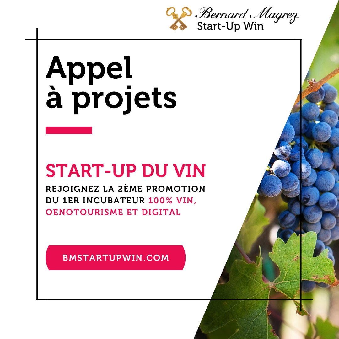 La phase de candidature pour rejoindre la deuxième promotion de l’incubateur Bernard Magrez Start-Up Win est ouverte jusqu’au 30 Septembre✨Saisissez l’opportunité et téléchargez le dossier de candidature sur bmstartupwin.com #WineTech #StartUp #Bordeaux #Entrepreneurship