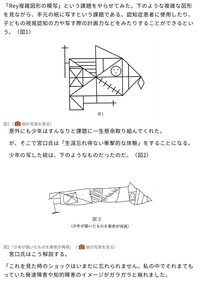 複雑図形模写の結果によって「世の中のこと全てが歪んで見えている」可能性を考察されてるけどお前オタクが描いた二次創作見ても同じくらい驚くだろという点でいまいち納得がいかない 