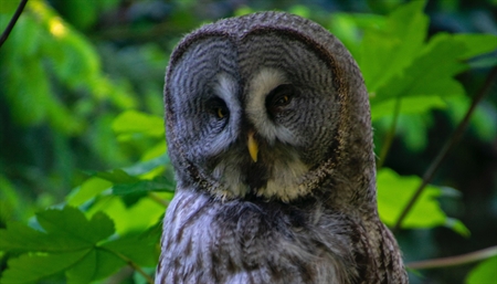 The power of prior #knowledge and life #experience: information #processing in the older #brain
#Aging is associated with declining #memory, #attention span and abstract #reasoning. Yet, older people are the ones who take the most important decisions.
🧑‍🦳👇 ru.nl/donders/news/n…