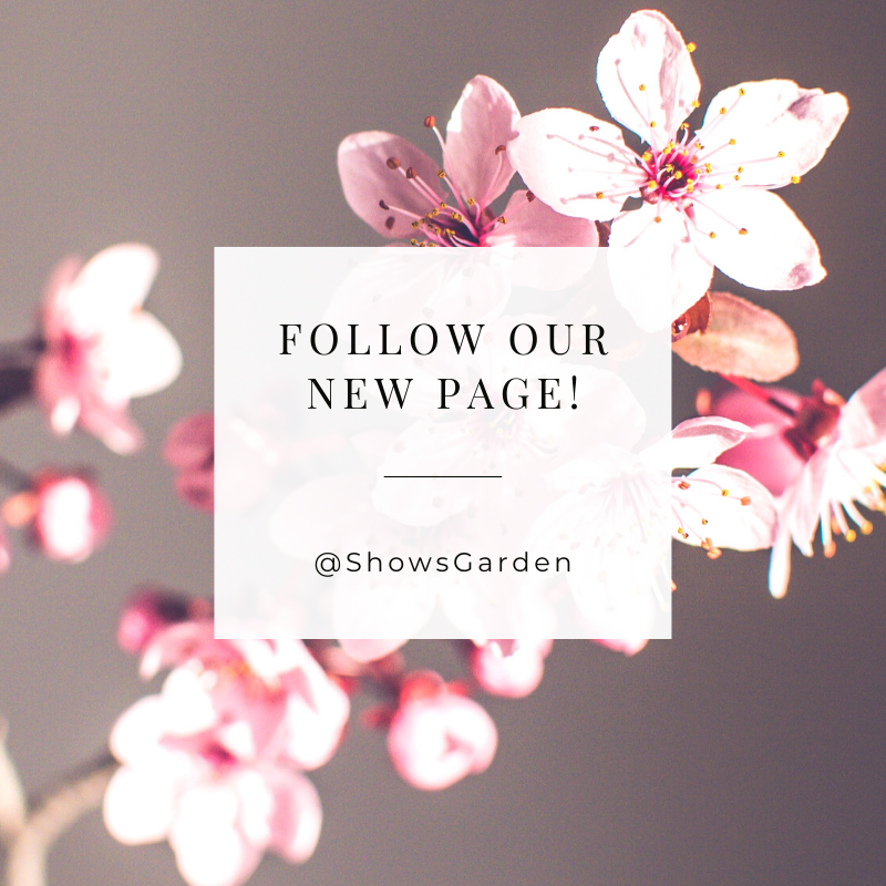 🌺  ANNOUNCEMENT 🌺   

We now have a new Twitter page combining all of our fantastic #GardenShow locations! 

Follow the new page @ShowsGarden for the latest news and updates on all of our future shows! 
#thegardenshow #broadlands #firleplace #stanstedpark #loseleypark