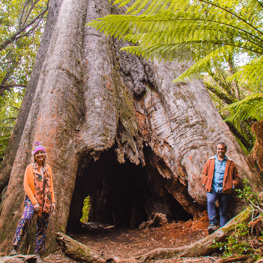 We invite you to connect and share using the hashtag #BackToNatureAU. This week: Write a letter to a tree, and share the letter 🌳

Back To Nature - Stream now on ABC iview or Tuesdays 8pm on ABC TV: ab.co/BackToNature