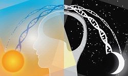 Journal of Physiology (@jphysiol) on Twitter photo According to a new study in <a href="/jphysiol/">Journal of Physiology</a> when rats are fed a high fat diet, this disturbs the #bodyclock in their brain that normally controls satiety, leading to over-eating and #obesity. Find out more about the study from <a href="/BristolUni/">University of Bristol</a> <a href="/JagiellonskiUni/">Uniwersytet Jagielloński</a> 👉 buff.ly/3zMcsJr According to a new study in <a href="/jphysiol/">Journal of Physiology</a> when rats are fed a high fat diet, this disturbs the #bodyclock in their brain that normally controls satiety, leading to over-eating and #obesity. Find out more about the study from <a href="/BristolUni/">University of Bristol</a> <a href="/JagiellonskiUni/">Uniwersytet Jagielloński</a> 👉 buff.ly/3zMcsJr