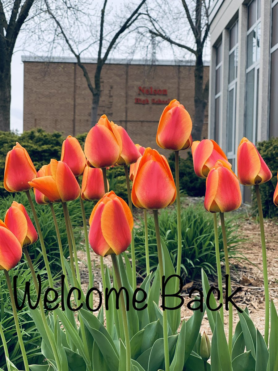 Welcome back everyone. Today is the first day for many, the first day back to school, the first time some set foot in the great school of Nelson. We are excited and sooooooo looking forward to the return of school! <a href="/HaltonDSB/">HDSB</a> <a href="/MargoShuttle/">Margo Shuttleworth</a> @Claire_Proteau #BacktoSchool2021