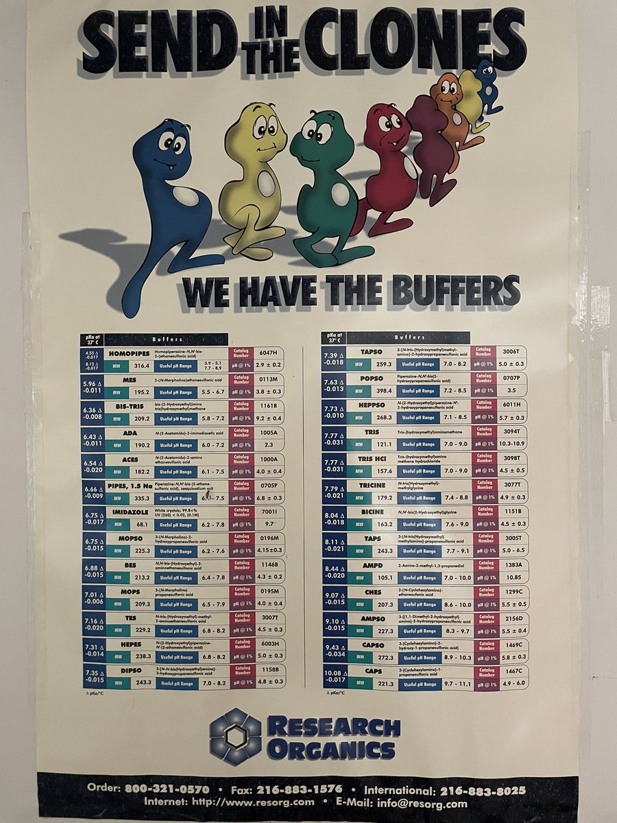 "Don't bother, they're here...."