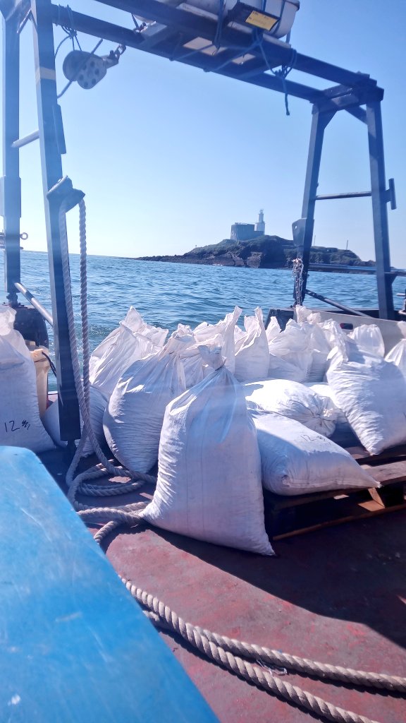 OystersEdge's tweet photo. Let's get this party started🎉

Native oysters going on to the beds at Mumbles.

@SeasalterWalney 
@WalesIndustry

#oysters #nativeoysters #restoration #aquaculture https://t.co/1X6HDhI877