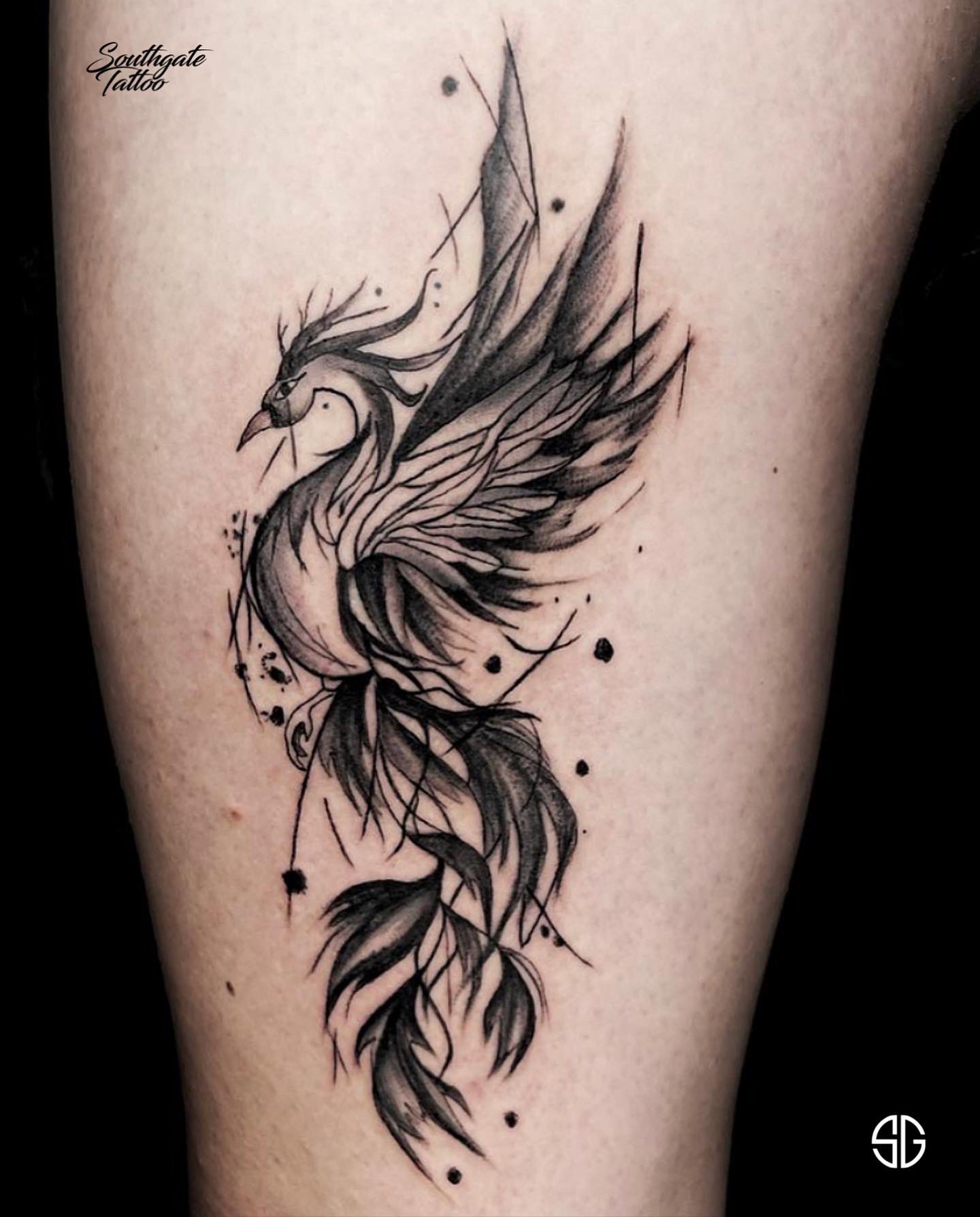 What Do Phoenix Tattoos Symbolize 2021 Information Guide